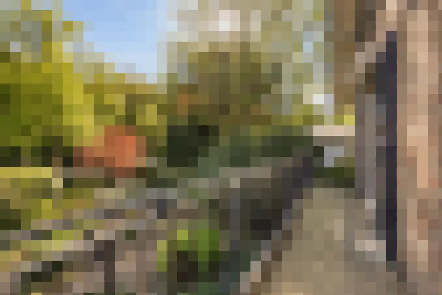 Beekhuizenseweg 17 Velp thumbnail 26