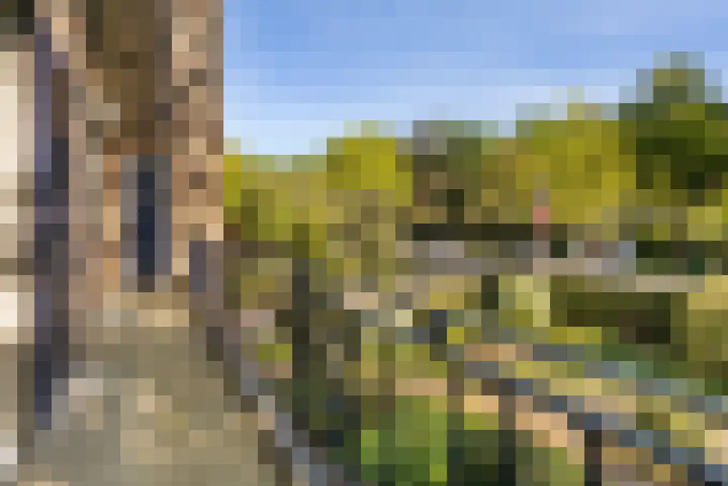 Beekhuizenseweg 17 Velp thumbnail 27