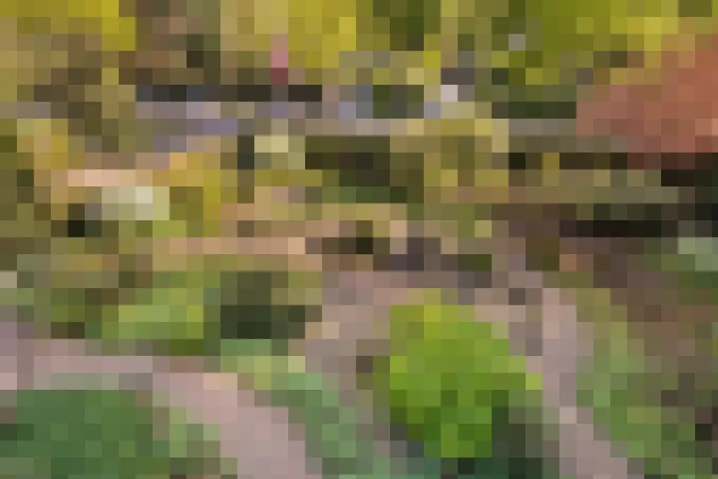 Beekhuizenseweg 17 Velp thumbnail 28