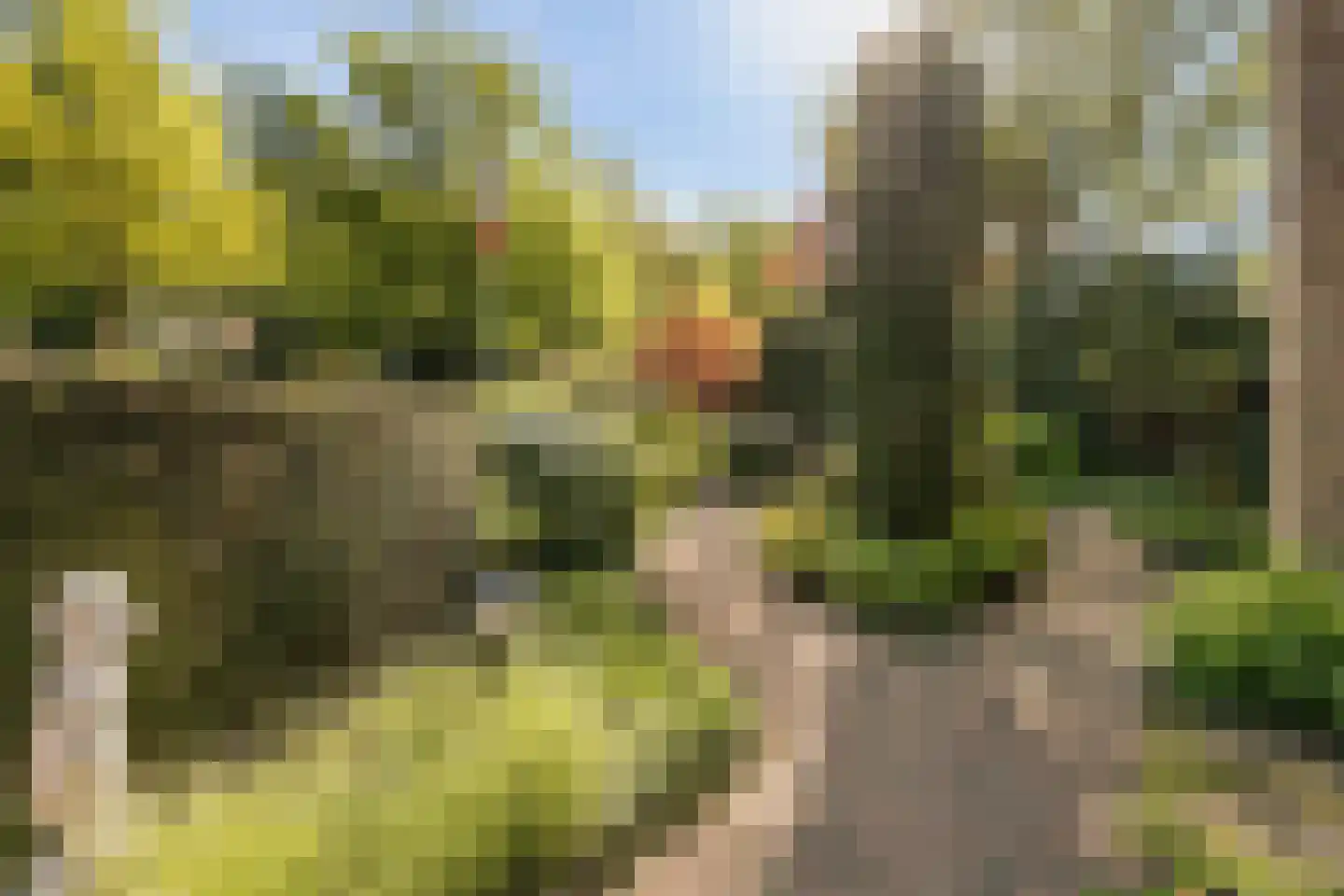 Beekhuizenseweg 17 Velp thumbnail 37
