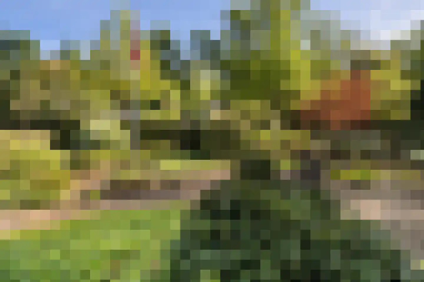 Beekhuizenseweg 17 Velp thumbnail 38