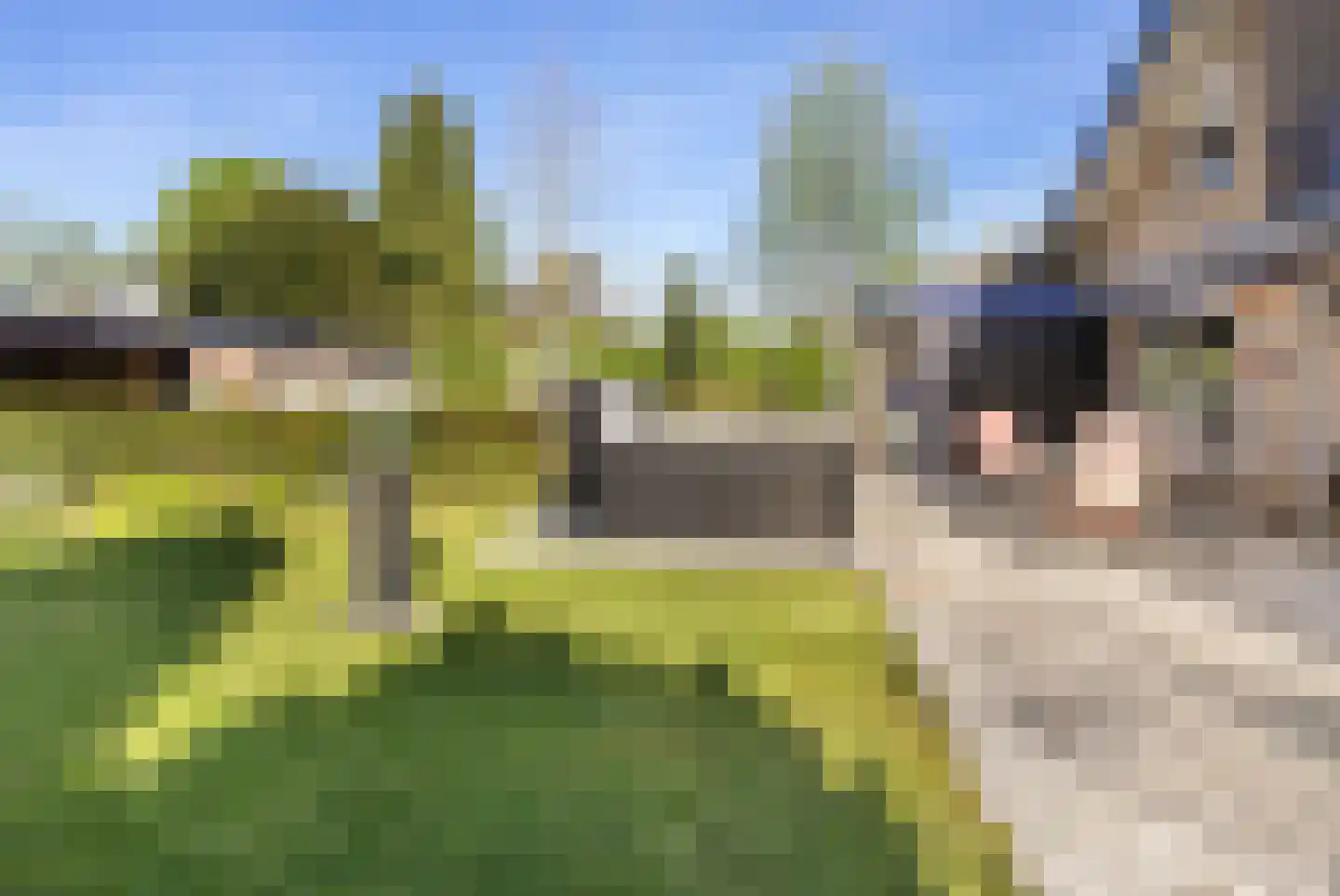 Beekhuizenseweg 17 Velp thumbnail 42