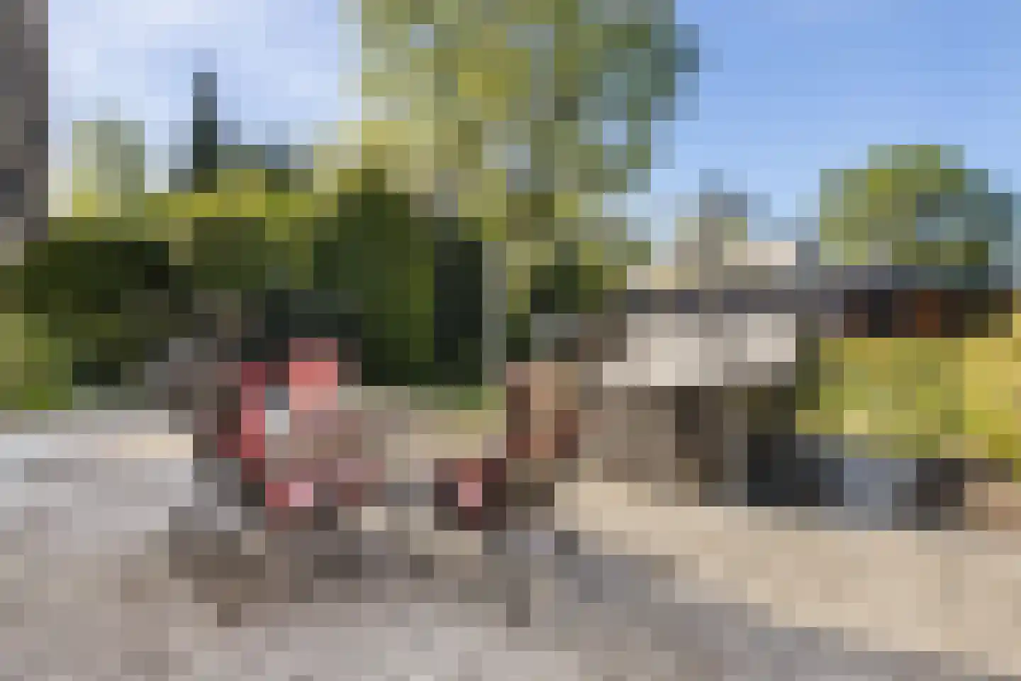 Beekhuizenseweg 17 Velp thumbnail 44