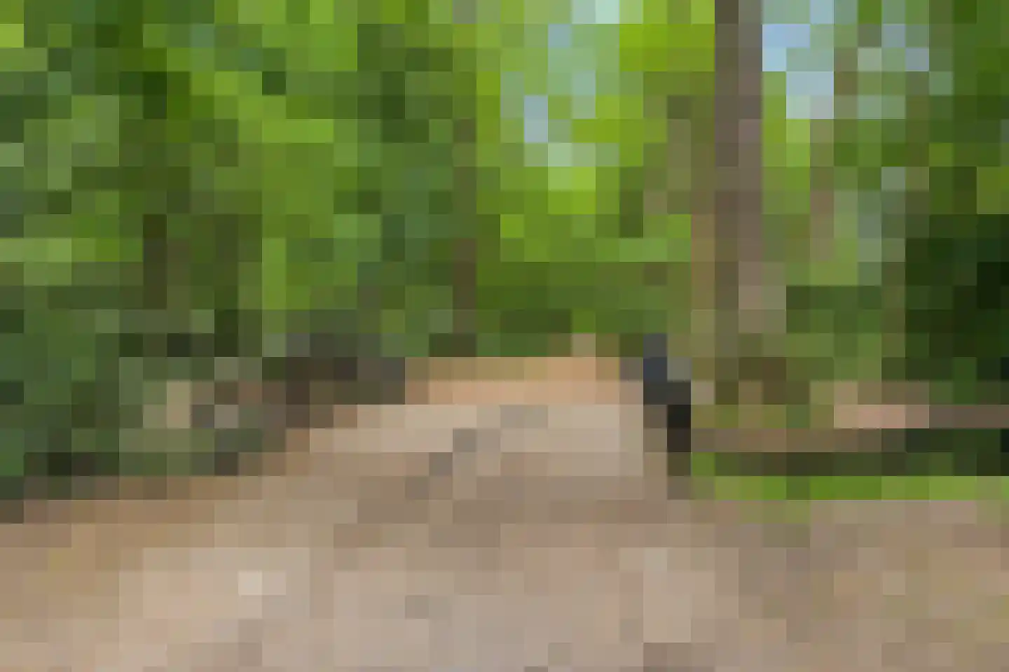 Beekhuizenseweg 17 Velp thumbnail 47