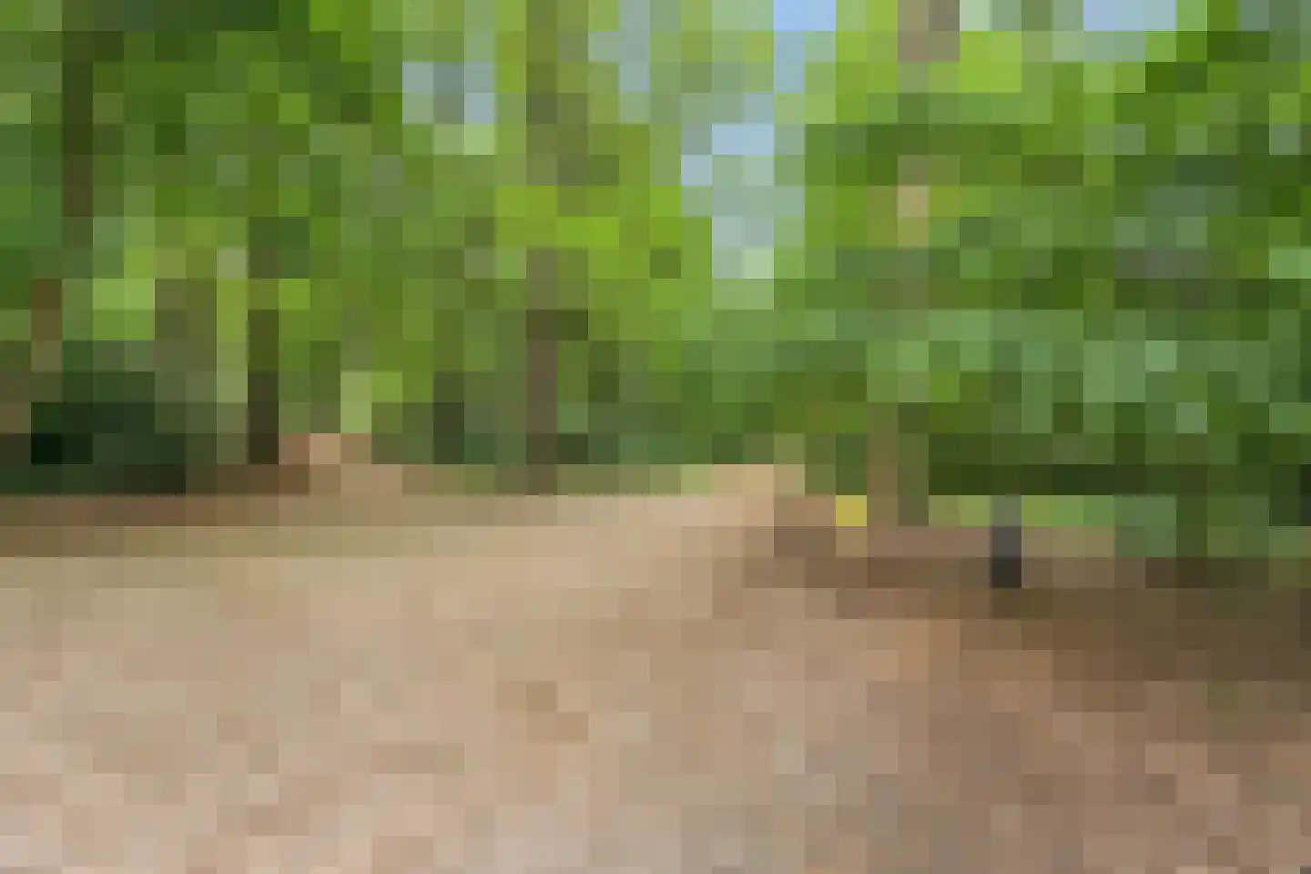 Beekhuizenseweg 17 Velp thumbnail 48