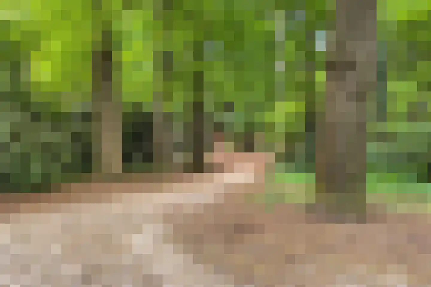 Beekhuizenseweg 17 Velp thumbnail 49