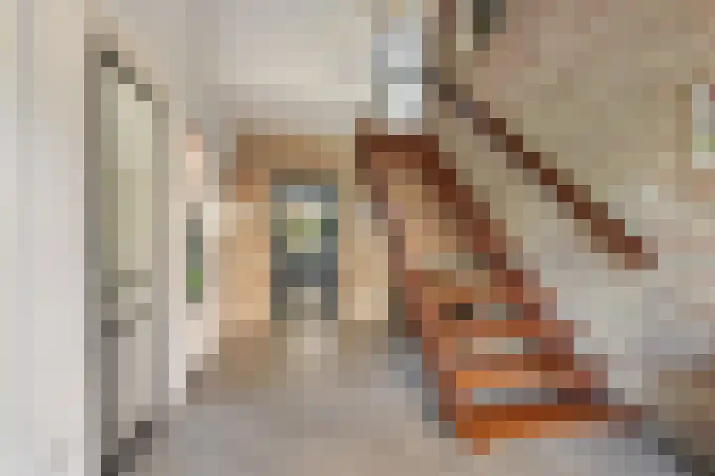 Beekhuizenseweg 17 Velp thumbnail 5