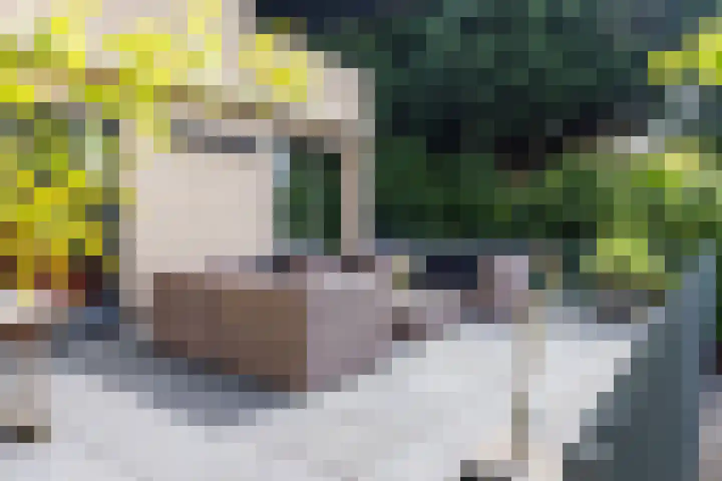 Beekhuizenseweg 18 Velp thumbnail 10