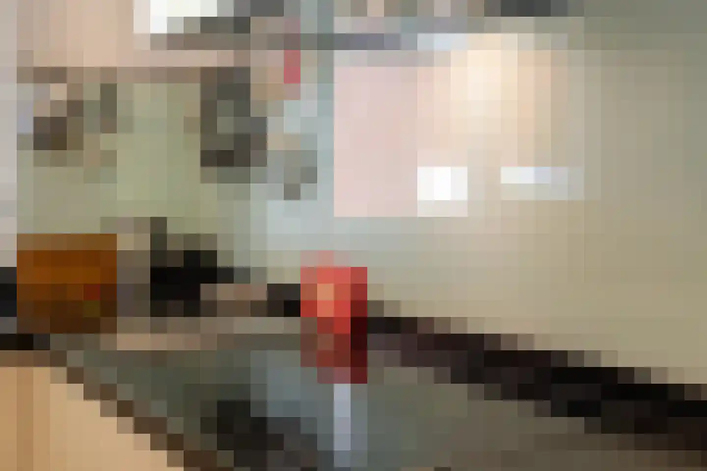 Beekhuizenseweg 18 Velp thumbnail 16