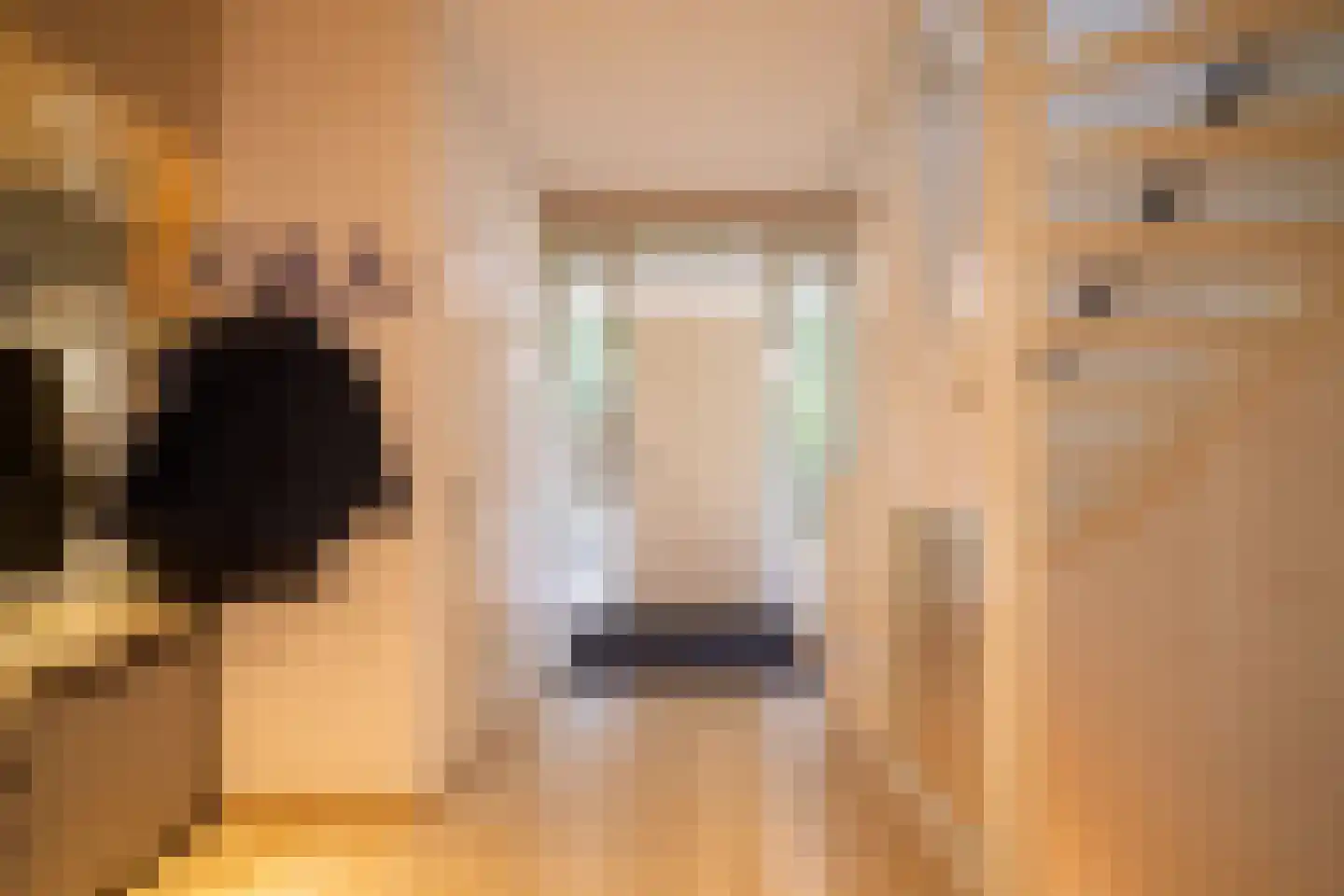Beekhuizenseweg 18 Velp thumbnail 21