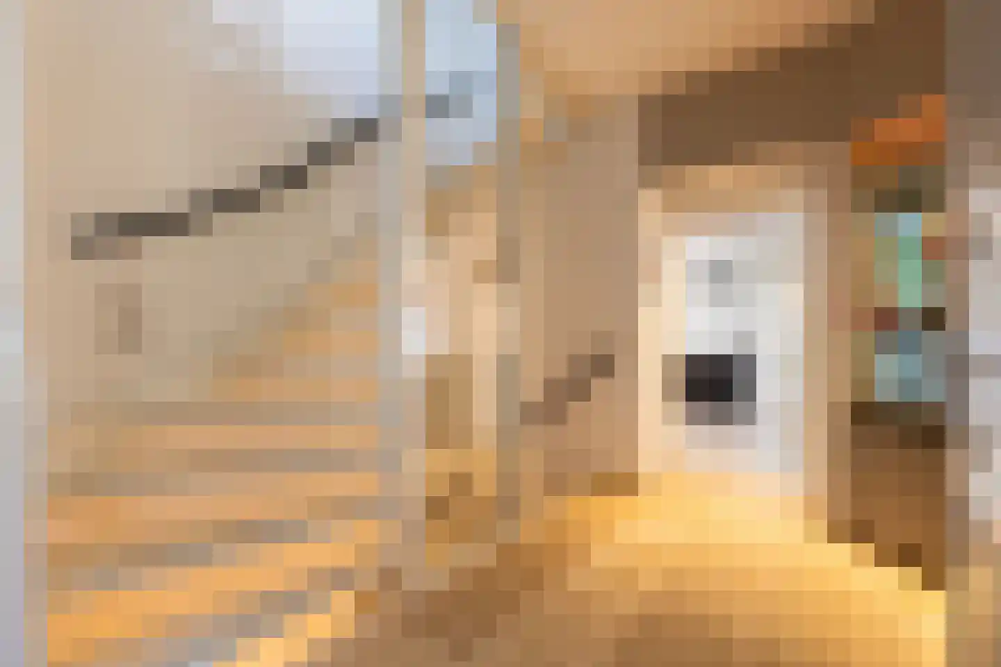 Beekhuizenseweg 18 Velp thumbnail 22