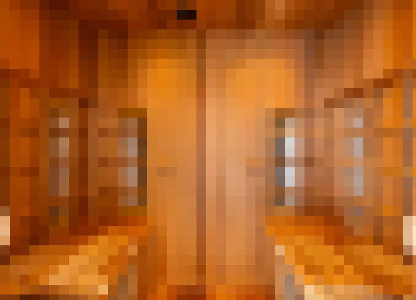 Beekhuizenseweg 18 Velp thumbnail 33