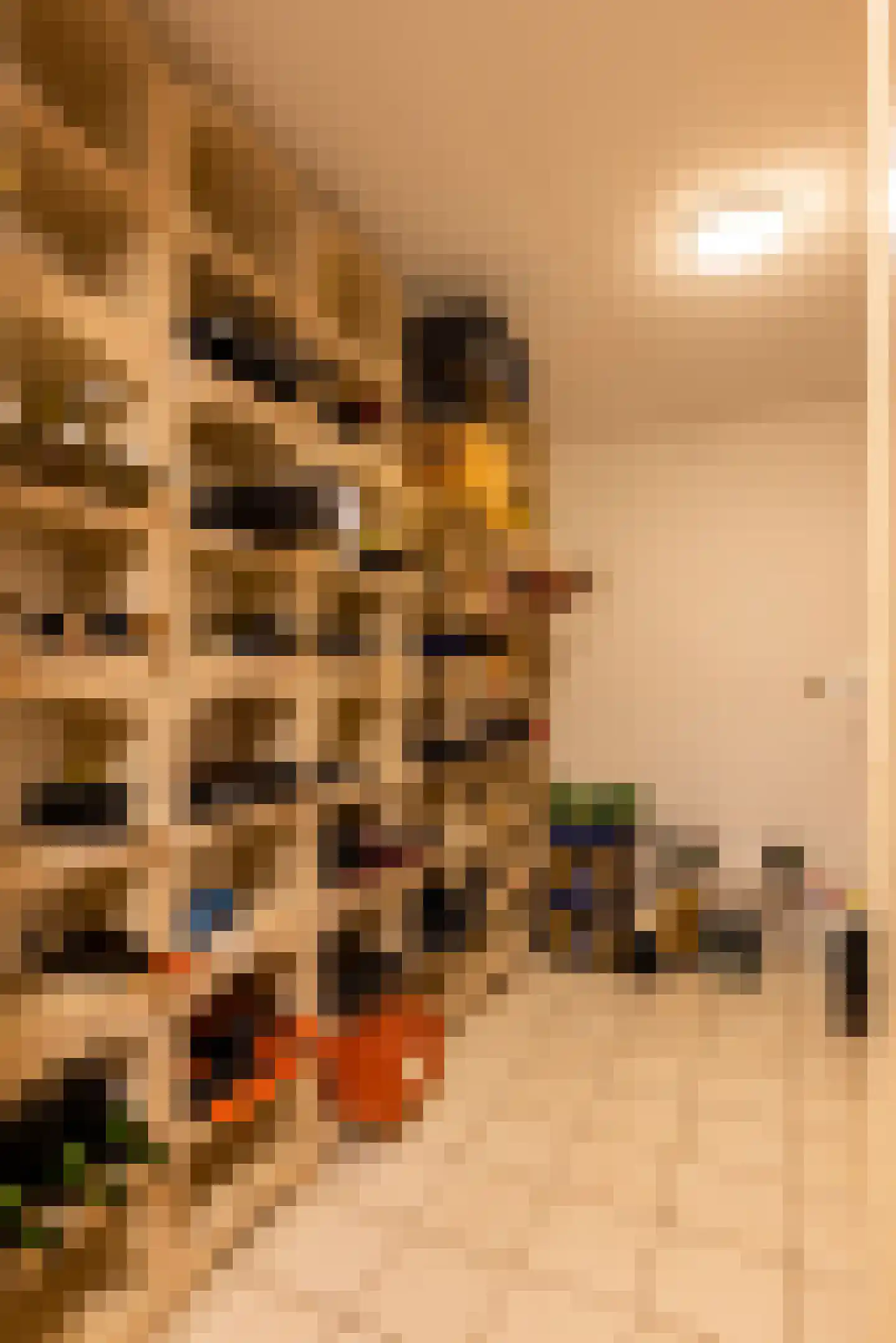 Beekhuizenseweg 18 Velp thumbnail 38