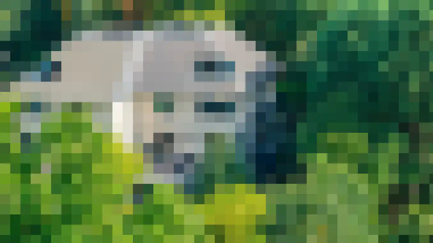 Beekhuizenseweg 18 Velp thumbnail 42