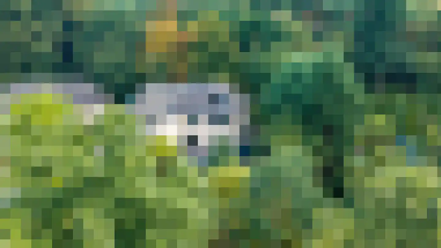Beekhuizenseweg 18 Velp thumbnail 43