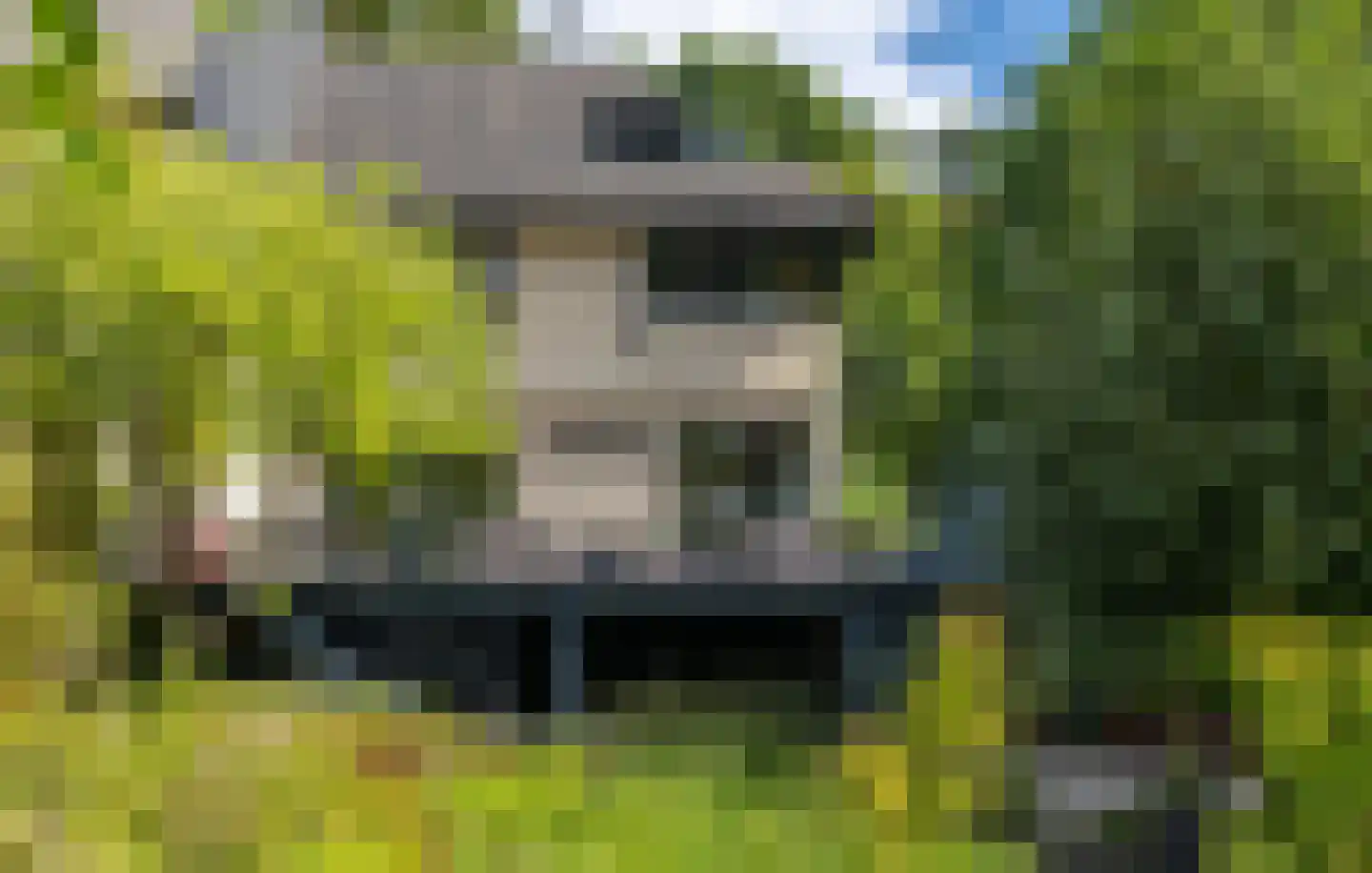 Beekhuizenseweg 18 Velp thumbnail 44
