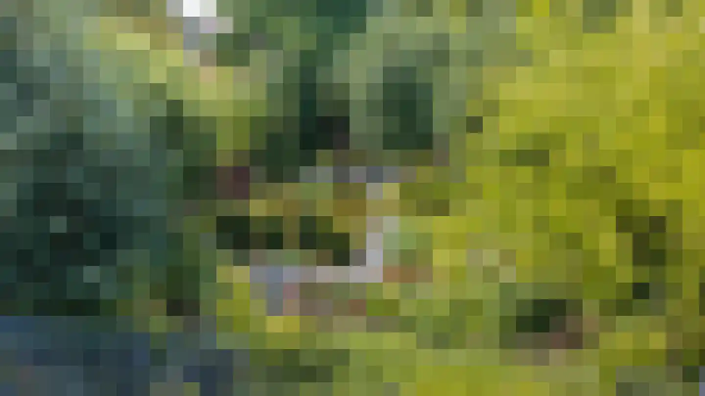 Beekhuizenseweg 18 Velp thumbnail 47
