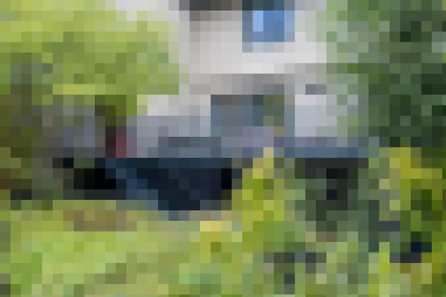 Beekhuizenseweg 18 Velp thumbnail 48