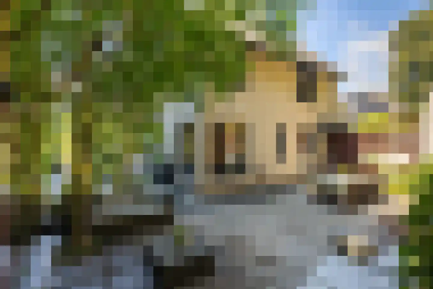 Beekhuizenseweg 18 Velp thumbnail 49