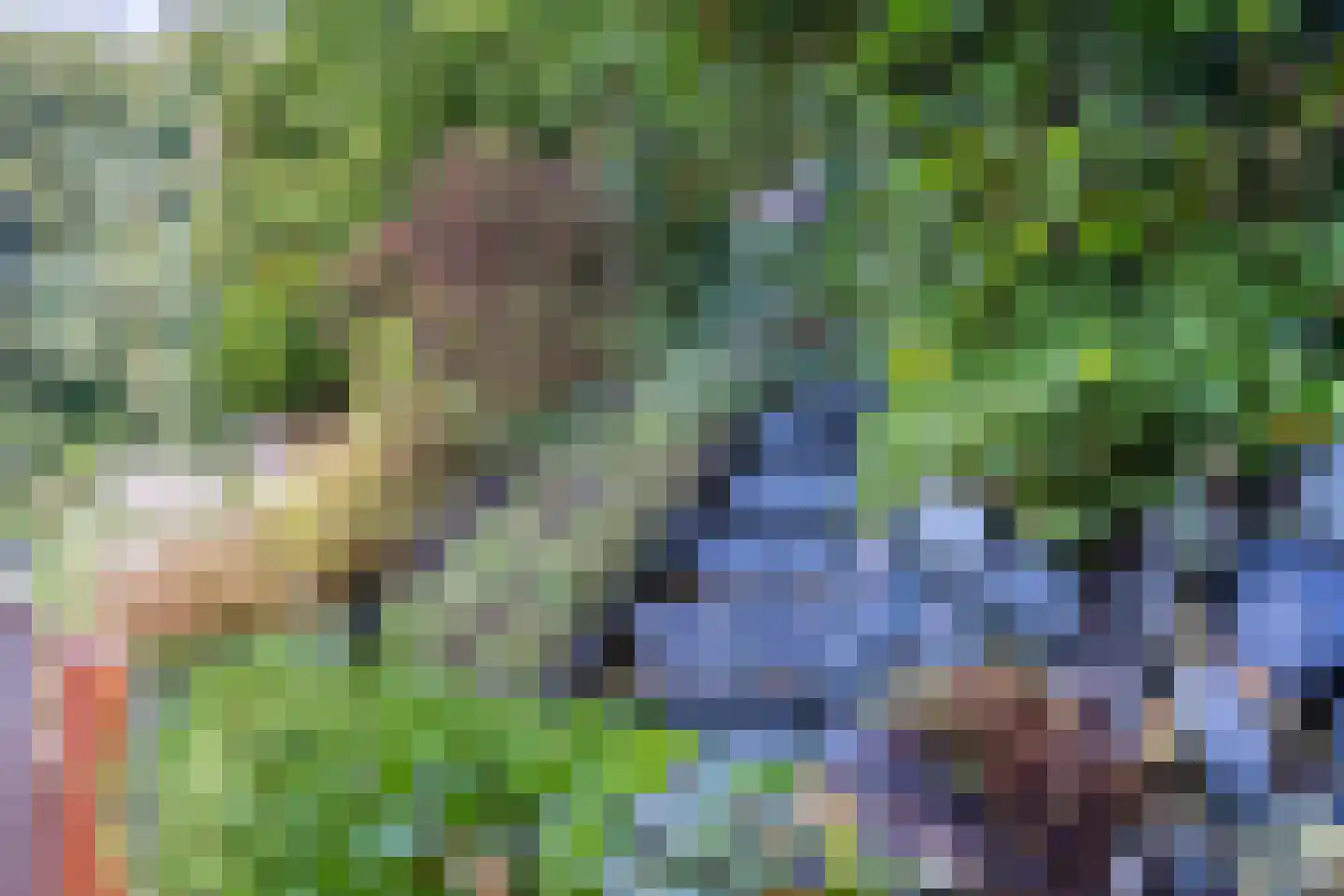Beekhuizenseweg 18 Velp thumbnail 55