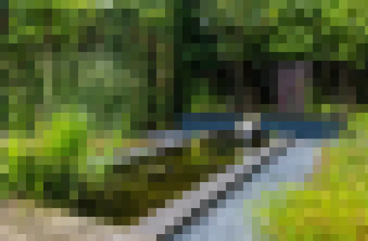 Beekhuizenseweg 18 Velp thumbnail 57