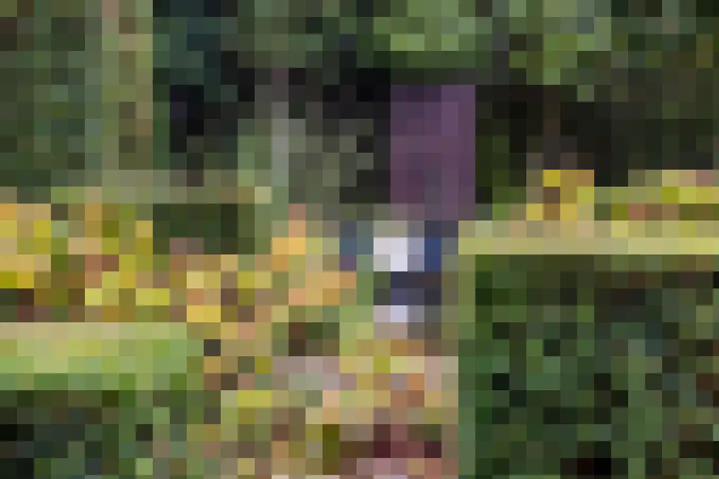 Beekhuizenseweg 18 Velp thumbnail 58