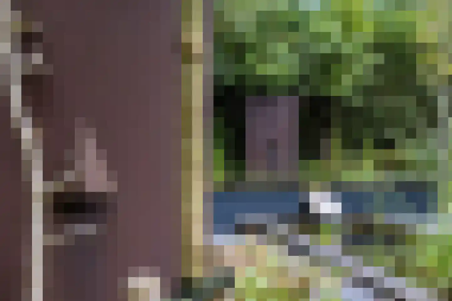 Beekhuizenseweg 18 Velp thumbnail 59