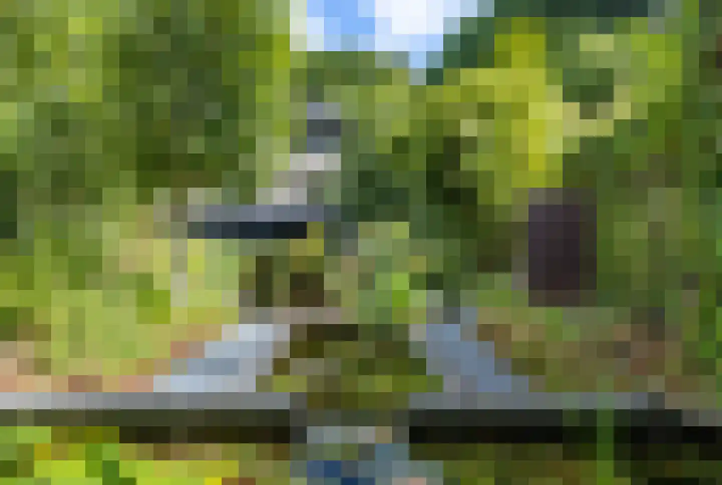 Beekhuizenseweg 18 Velp thumbnail 60