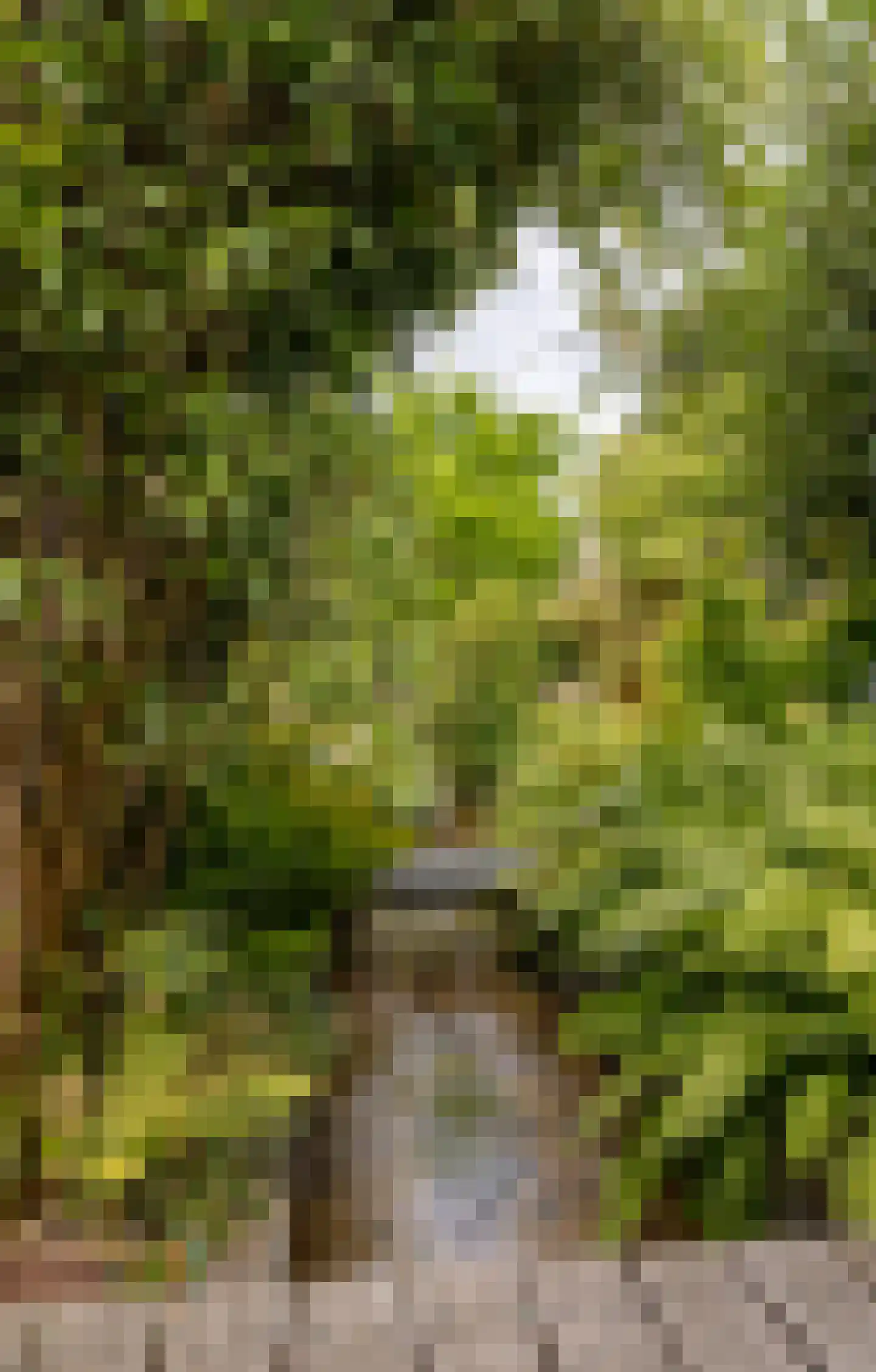Beekhuizenseweg 18 Velp thumbnail 61