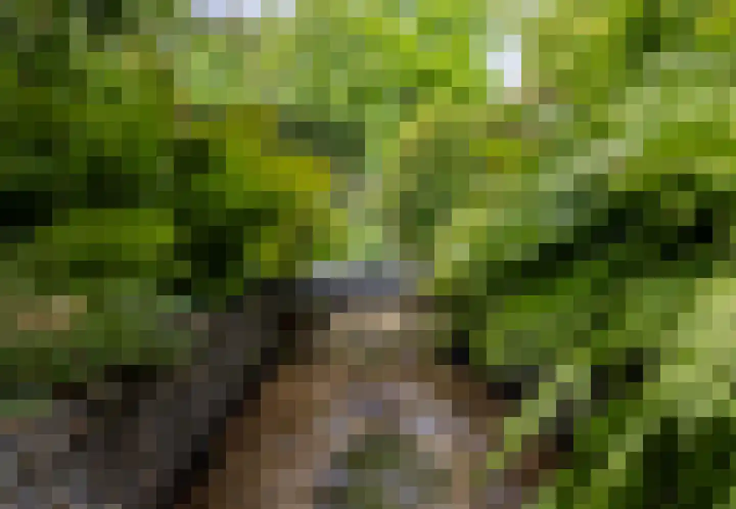 Beekhuizenseweg 18 Velp thumbnail 62