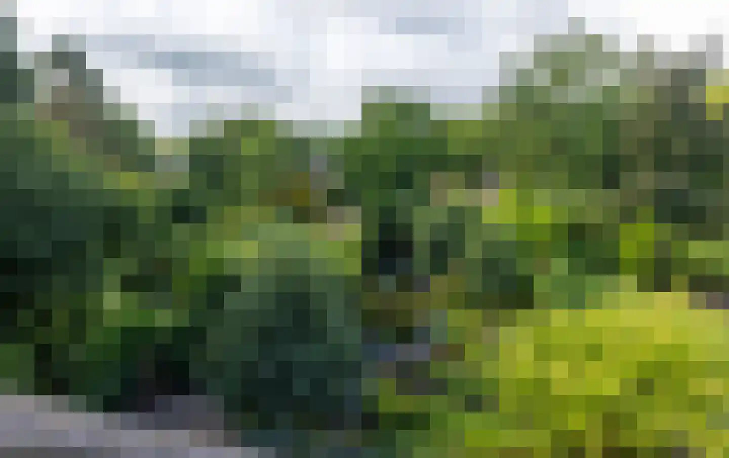 Beekhuizenseweg 18 Velp thumbnail 63