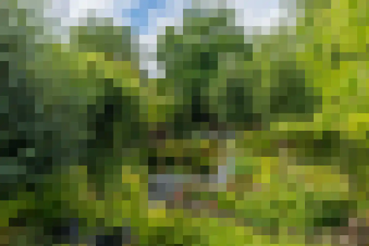 Beekhuizenseweg 18 Velp thumbnail 65