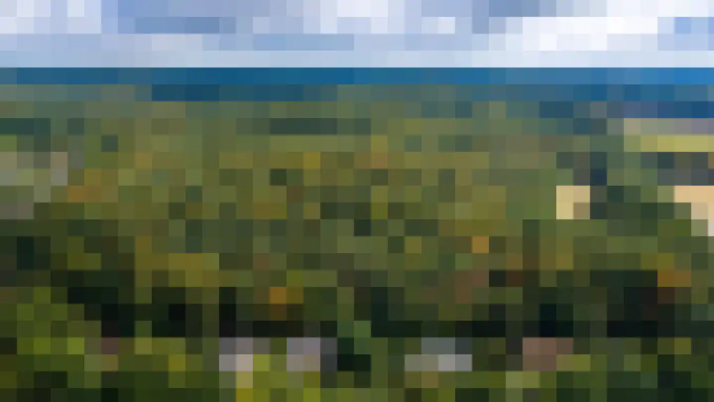 Beekhuizenseweg 18 Velp thumbnail 71