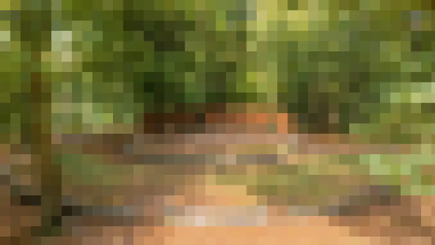 Beekhuizenseweg 18 Velp thumbnail 73