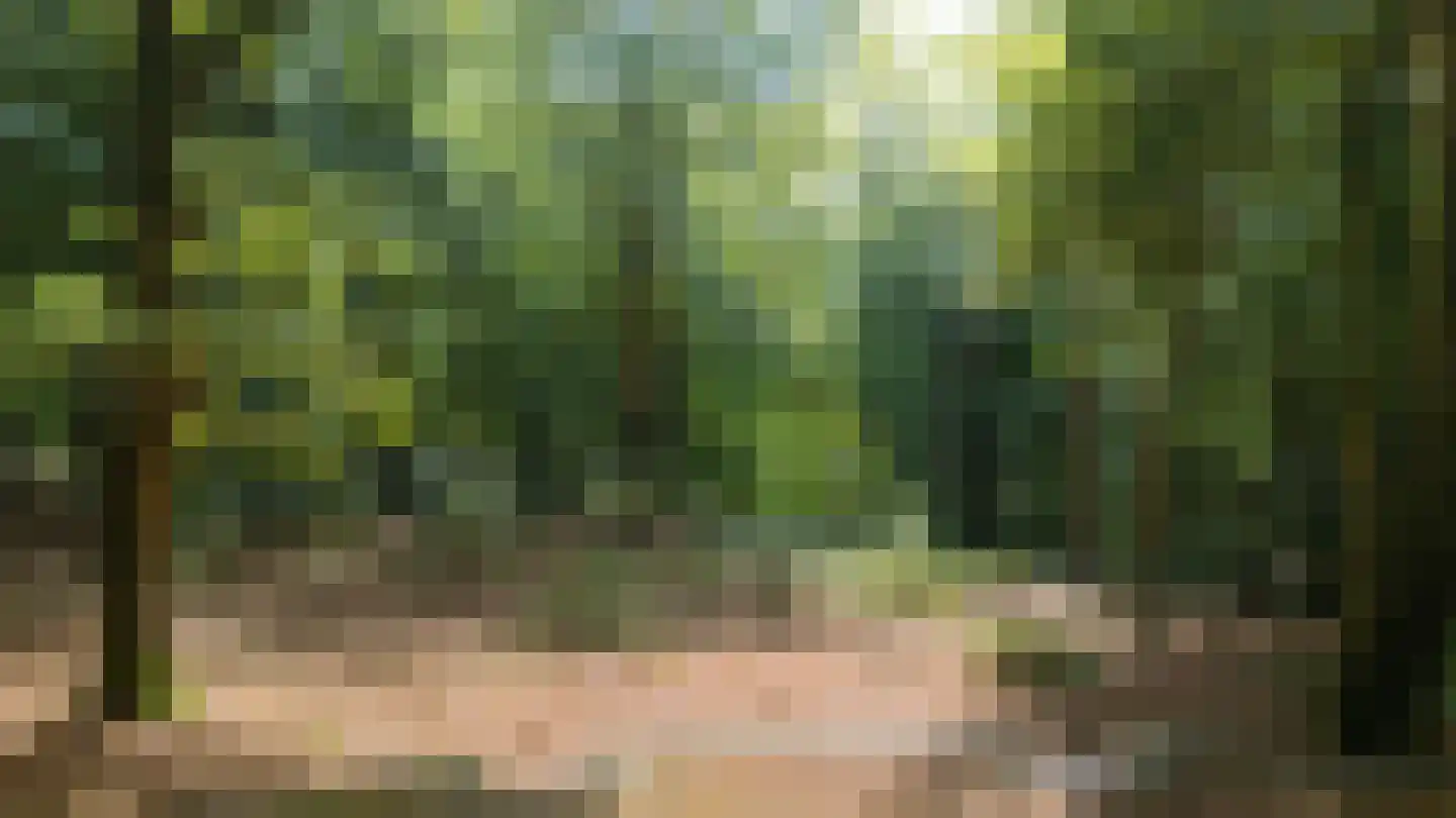 Beekhuizenseweg 18 Velp thumbnail 74