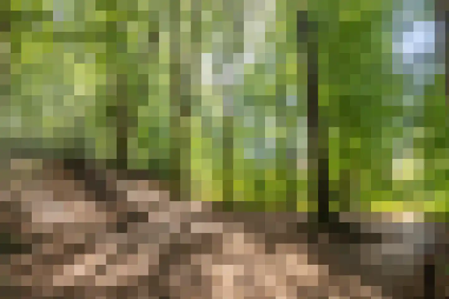 Beekhuizenseweg 18 Velp thumbnail 75