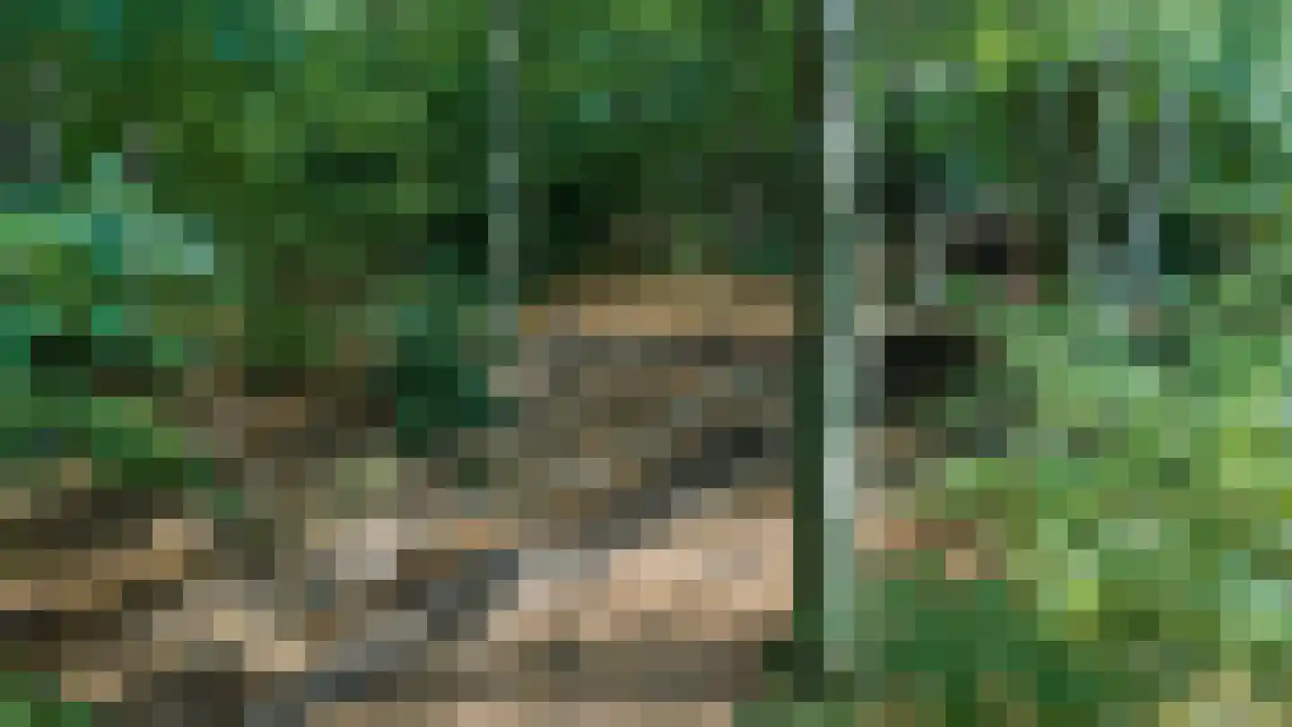 Beekhuizenseweg 18 Velp thumbnail 76