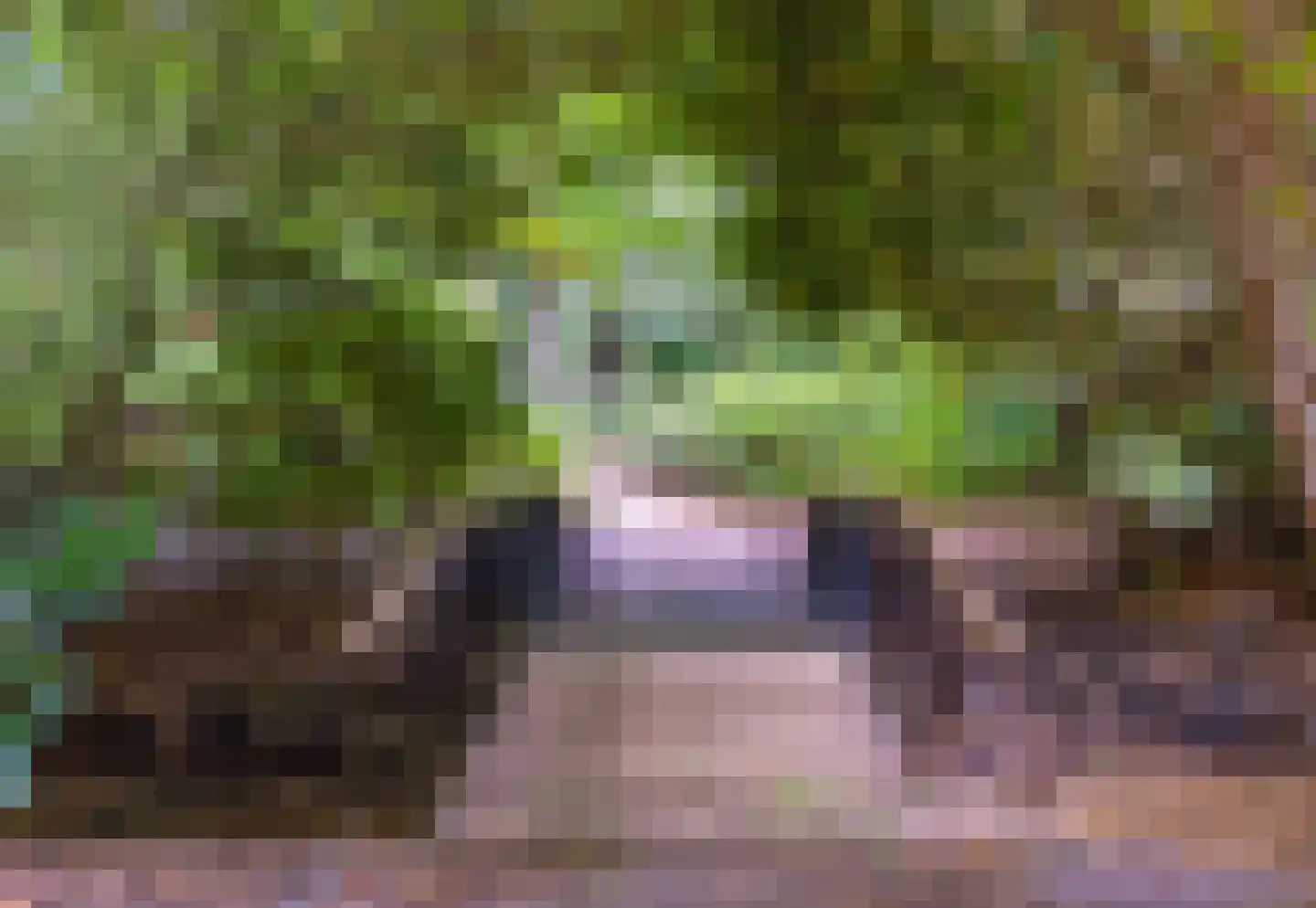 Beekhuizenseweg 18 Velp thumbnail 77
