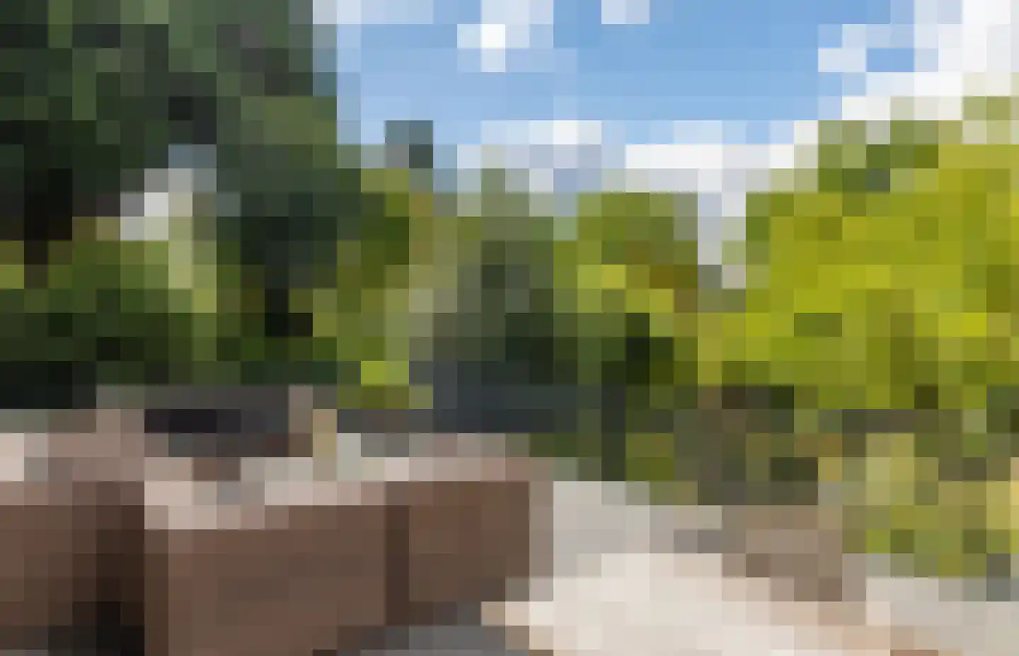 Beekhuizenseweg 18 Velp thumbnail 8