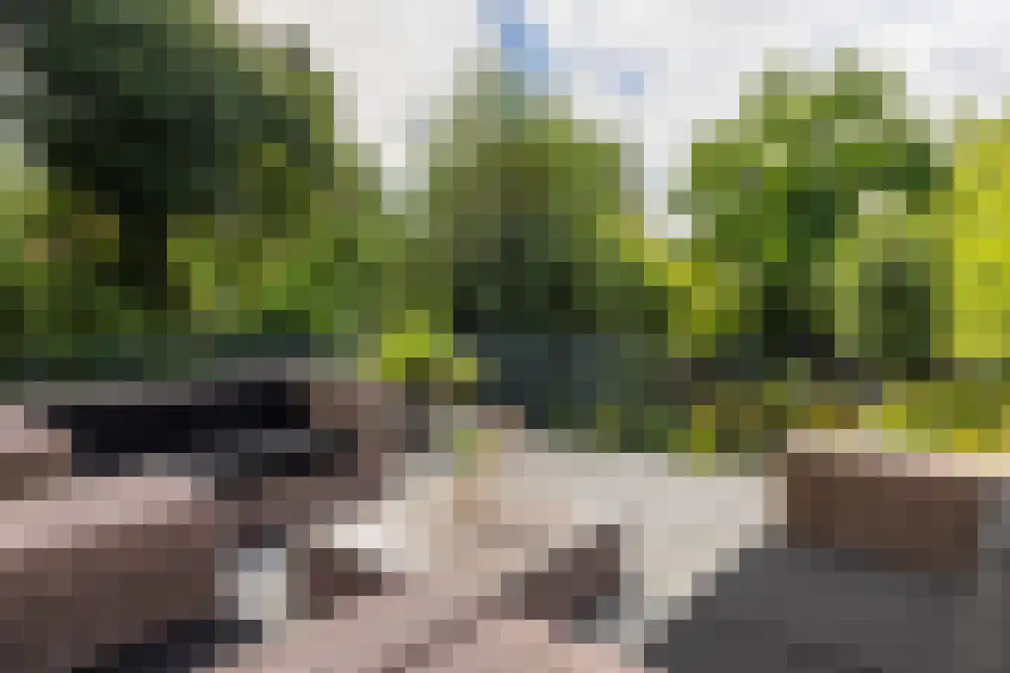 Beekhuizenseweg 18 Velp thumbnail 9