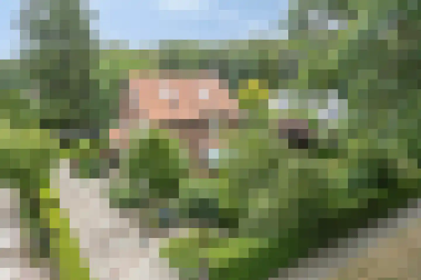 Beekhuizenseweg 24 Velp