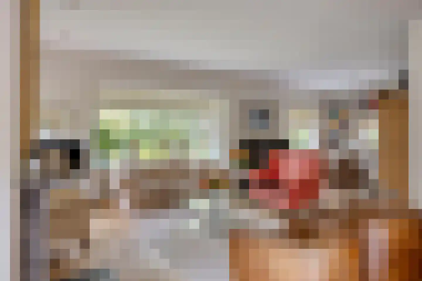 Beekhuizenseweg 24 Velp thumbnail 15