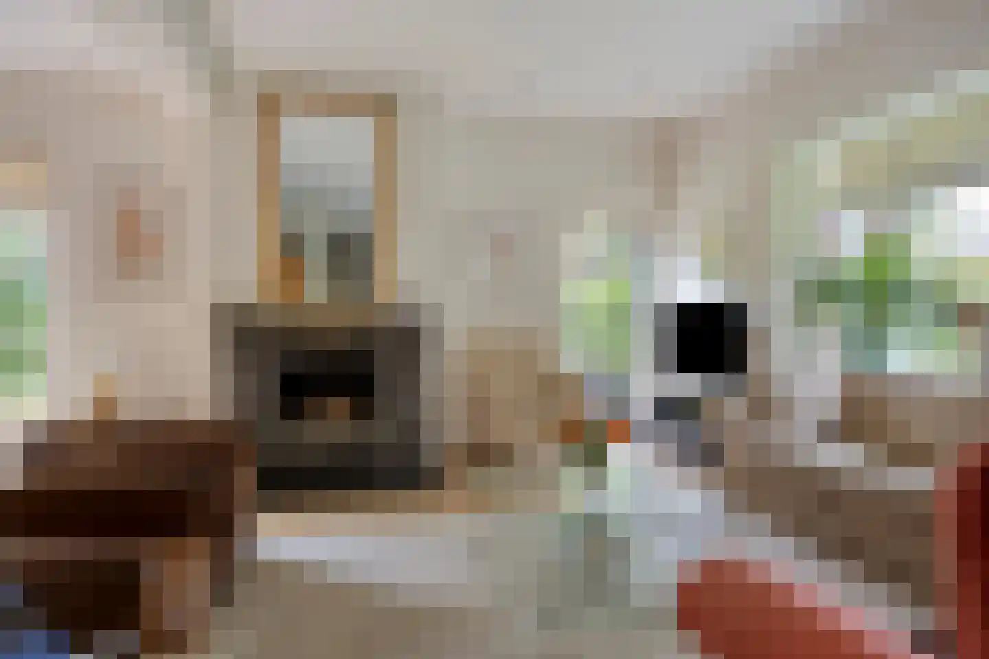 Beekhuizenseweg 24 Velp thumbnail 16