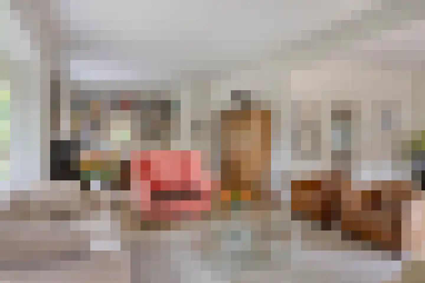 Beekhuizenseweg 24 Velp thumbnail 17