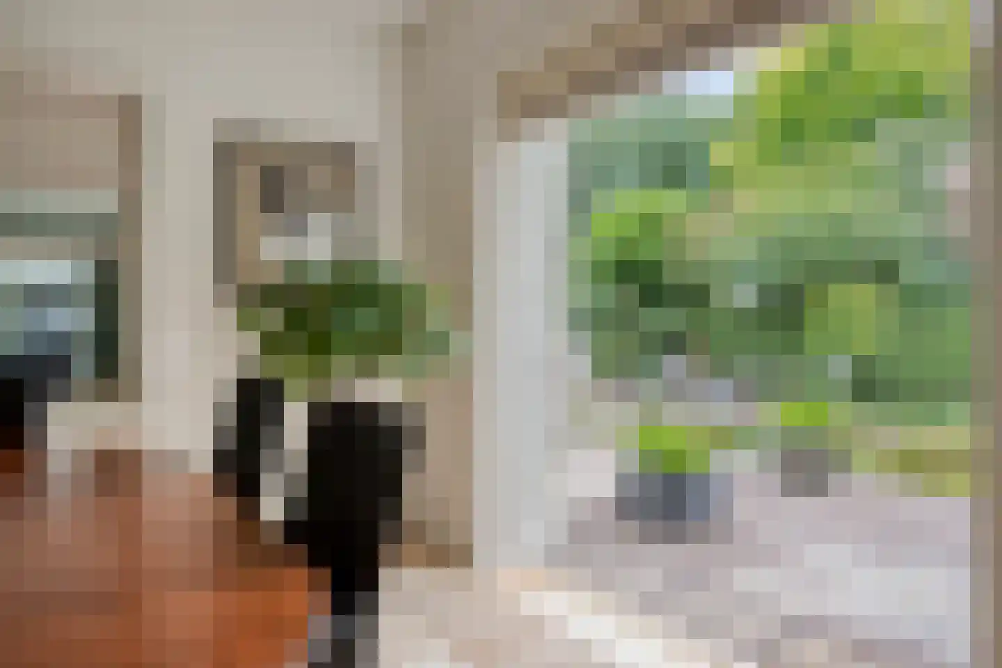 Beekhuizenseweg 24 Velp thumbnail 22