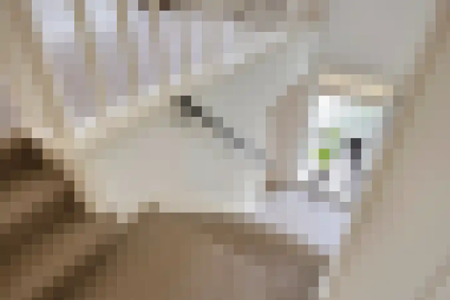 Beekhuizenseweg 24 Velp thumbnail 30