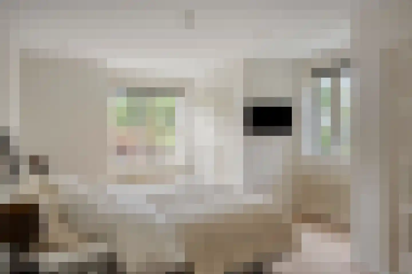 Beekhuizenseweg 24 Velp thumbnail 33
