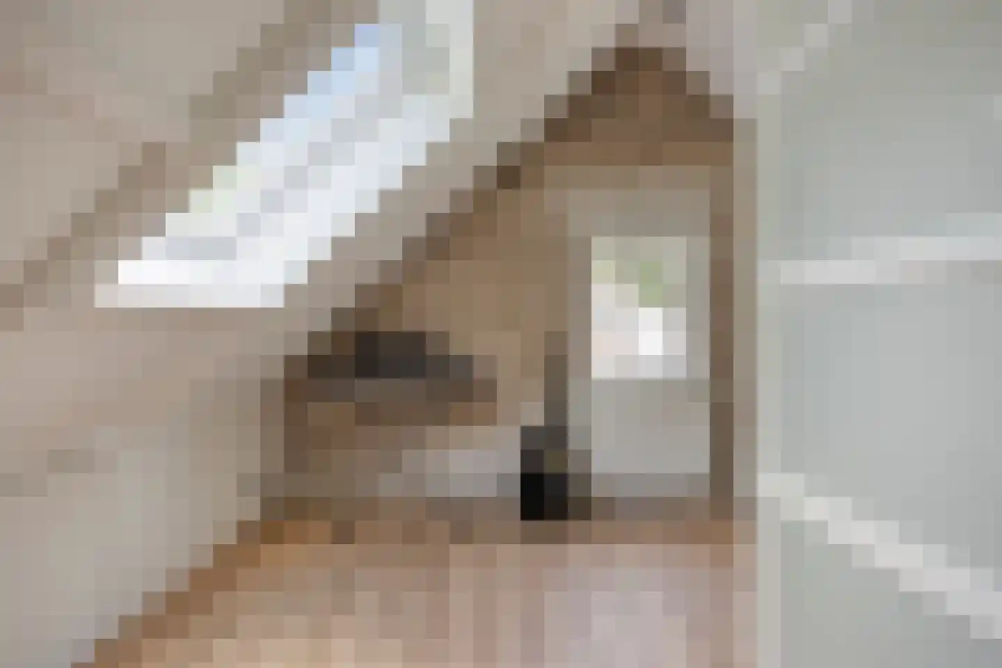 Beekhuizenseweg 24 Velp thumbnail 40