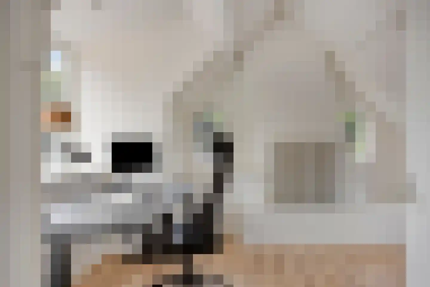 Beekhuizenseweg 24 Velp thumbnail 43