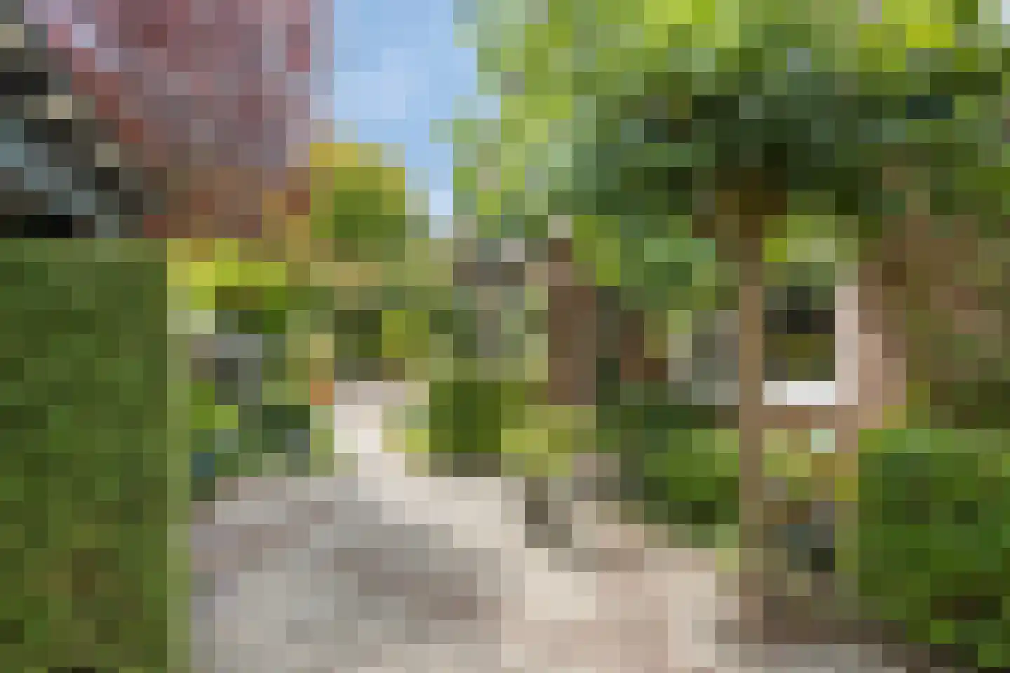 Beekhuizenseweg 24 Velp thumbnail 44